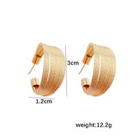 1 Paire Style Simple Commuer Couleur Unie Alliage Boucles D'oreilles main image 2