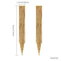 1 Pair Classic Style Tassel Plating Inlay Stainless Steel Zircon Gold Plated Drop Earrings main image 9