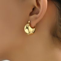 1 Paar Retro Einfacher Stil Einfarbig Ferrolegierung Ohrringe main image 12