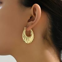 1 Paar Retro Einfacher Stil Einfarbig Ferrolegierung Ohrringe main image 8
