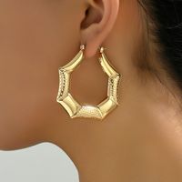 1 Pair Retro Simple Style Solid Color Ferroalloy Earrings main image 6