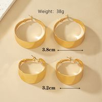 2 Pairs Elegant Glam Formal Circle Polishing Plating Metal Ferroalloy 14k Gold Plated Hoop Earrings main image 6