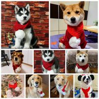 Simple Style Polyester Christmas New Year Solid Color Pet Scarf main image 2
