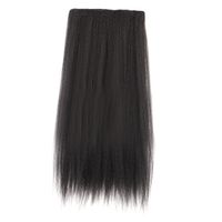 Women's Simple Style Street High Temperature Wire Straight Hair Wigs sku image 1