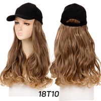 Women's Casual Street High Temperature Wire Long Curly Hair Wigs sku image 5