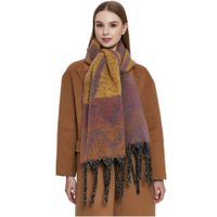 Women's Elegant Classic Style Printing Color Block Polyester Scarf main image 4
