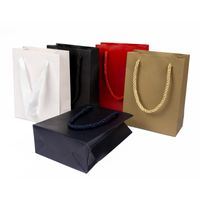 Einfacher Stil Pendeln Einfarbig Papier Ferien Täglich Geschenk Taschen main image 1