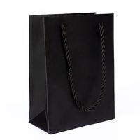 Simple Style Commute Solid Color Paper Holiday Daily Gift Bags sku image 2