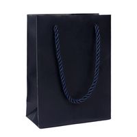 Simple Style Commute Solid Color Paper Holiday Daily Gift Bags sku image 4