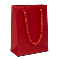 Simple Style Commute Solid Color Paper Holiday Daily Gift Bags sku image 3