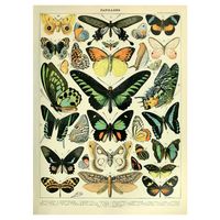 Décontractée Insecte Papillon Toile Pendentif Art Mural sku image 57