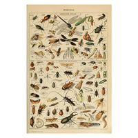 Lässig Insekt Schmetterling Öl Leinwand Anhänger Wand Kunst sku image 87