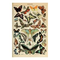 Casual Insect Butterfly Canvas Pendant Wall Art sku image 124