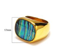 Titanium Steel 18K Gold Plated Hip-Hop Retro Plating Color Block Shell Rings main image 2