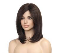 Women's Simple Style Street High Temperature Wire Side Fringe Long Straight Hair Wig Net sku image 1