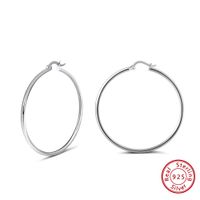 1 Pair Modern Style Classic Style Circle Plating Sterling Silver White Gold Plated Rhodium Plated Silver Plated Hoop Earrings main image 6