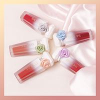 Retro Sexy Multicolor Plastic Lip Glaze main image 1