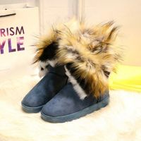 Women's Streetwear Solid Color Round Toe Snow Boots main image 1