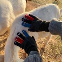 Unisex Cute Solid Color Gloves 1 Pair main image 2