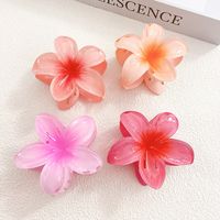 Simple Style Flower Hair Claws main image 1