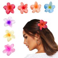 Simple Style Flower Hair Claws main image 4