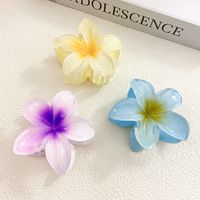 Simple Style Flower Hair Claws main image 2