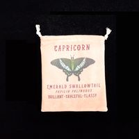Vintage Style Letter Butterfly Canvas sku image 7