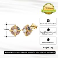 1 Pair Modern Style Simple Style Geometric Plating Sterling Silver 14k Gold Plated Ear Studs main image 2