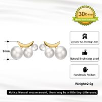 1 Pair Modern Style Simple Style Geometric Polishing Plating Sterling Silver 14k Gold Plated Ear Studs main image 2
