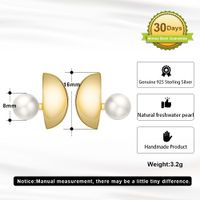1 Pair Modern Style Simple Style Streetwear Geometric Polishing Plating Sterling Silver 14k Gold Plated Ear Studs main image 2