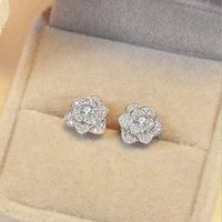 1 Pair Lady Flower Plating Inlay Copper Zircon White Gold Plated Ear Studs main image 4