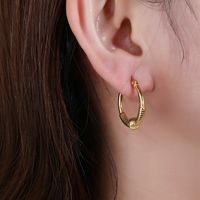 1 Pair Simple Style Classic Style Solid Color Plating Titanium Steel 18k Gold Plated Hoop Earrings main image 3