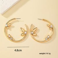 1 Paire Élégant Géométrique Placage Incruster Alliage Zircon Boucles D'oreilles sku image 1