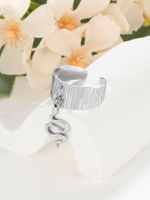 304 Stainless Steel Classic Style Solid Color Charm Rings main image 3