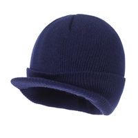Unisex Simple Style Solid Color Curved Eaves Wool Cap sku image 2