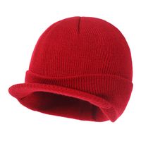Unisex Simple Style Solid Color Curved Eaves Wool Cap sku image 7