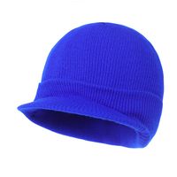 Unisex Simple Style Solid Color Curved Eaves Wool Cap sku image 8