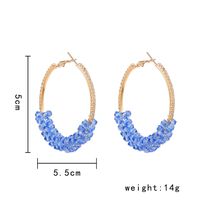 Wholesale Jewelry Elegant Vintage Style Geometric Color Block Metal Plating Hoop Earrings main image 2
