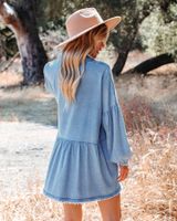 Women's Denim Shirt Dress Streetwear Turndown Long Sleeve Solid Color Above Knee Daily Street main image 3
