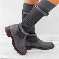 Women's Streetwear Solid Color Round Toe Classic Boots main image 3