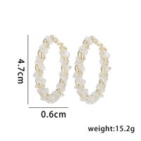 1 Pair Simple Style Classic Style Circle Plating Inlay Copper Rhinestones Zircon 14k Gold Plated Hoop Earrings main image 2