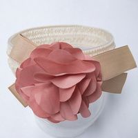 Simple Style Commute Flower Cloth Patchwork Hair Band main image 2