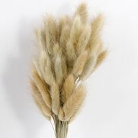 Pastoral Simple Style Solid Color Dried Flower Artificial Flowers main image 5
