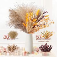 Pastoral Simple Style Solid Color Dried Flower Artificial Flowers sku image 10
