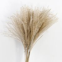 Pastoral Simple Style Solid Color Dried Flower Artificial Flowers main image 1