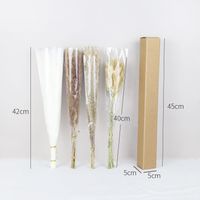 Pastoral Simple Style Solid Color Dried Flower Artificial Flowers main image 2