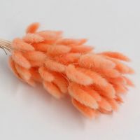 Pastoral Solid Color Soap Flower Artificial Flowers sku image 25