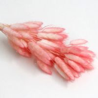 Pastoral Solid Color Soap Flower Artificial Flowers sku image 64