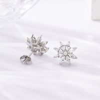 1 Pair Sweet Shiny Petal Plating Inlay Sterling Silver Zircon Silver Plated Ear Studs main image 5