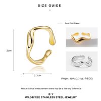 Simple Minimalist Irregular Fluid Line Titanium Steel Ring main image 7